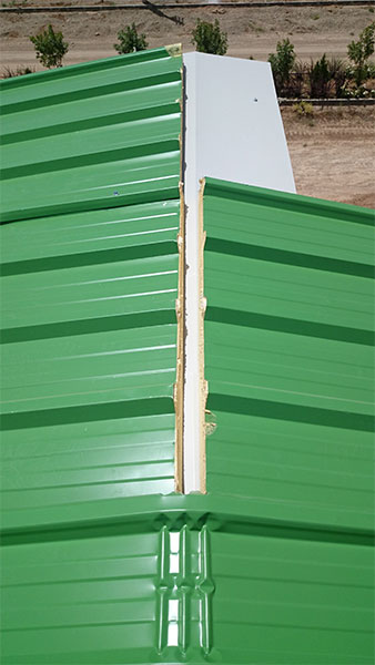 فلاشینگ زیر تاج دنیای ماموت