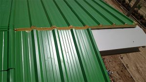 فلاشینگ زیر تاج دنیای ماموت