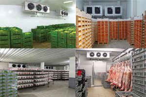 ساخت سردخانه با کار آفرینی موفق